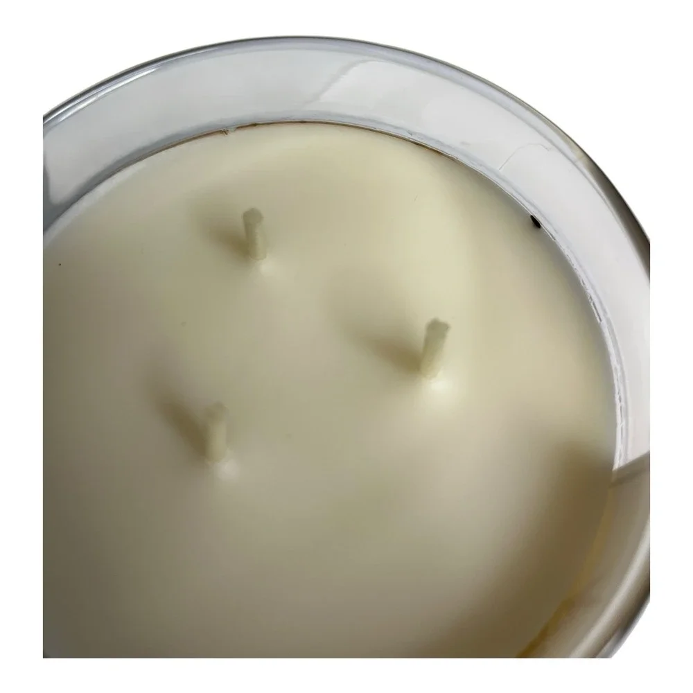 Bath & Body Works Apple Crisp 3 Wick Scented Candle 14.5oz lid Autumn Fall *READ